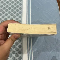 Chênh vênh - Michel Houellebecq 1000769