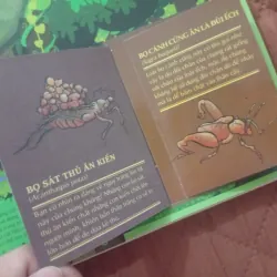 Atlas Đa Tương Tác Về Động Vật Hoang Dã 1009877