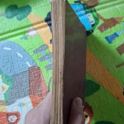 Thư gởi người đàn bà không quen biết 1046082