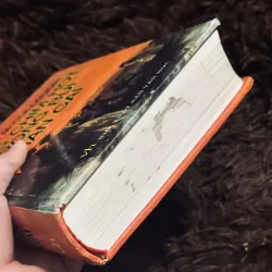 Tiếng chim hót trong bụi mận gai 1004680