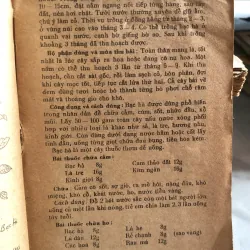 Cây thuốc gia đình - Đỗ Huy Bích  1010155