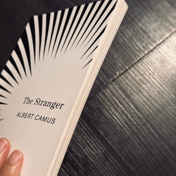 The Stranger (Người Xa Lạ)  532091