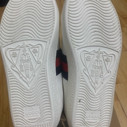 Giày Gucci trắng 459899