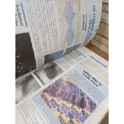 Physique Term S 712083