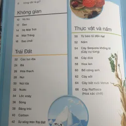 Vòng Đời - Vạn Vật Từ Khởi Đầu Cho Đến Kết Thúc 1009017