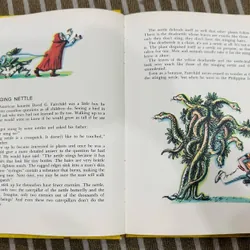 The Magic Tree (Cây thần kỳ) Bìa cứng  599391