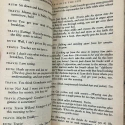 A Raisin in the Sun - Lorraine Hansberry 735422