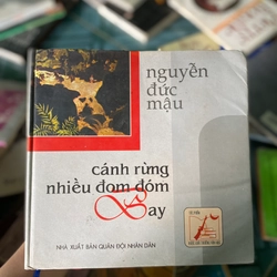 Cánh Rừng Nhiều Đom Đóm Bay 297469