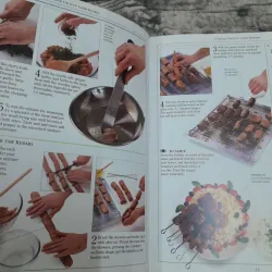 Perfect MEAT DISHES. Nghệ thuật nấu món thịt. Anne Willan 785295