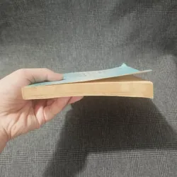 Mastering English Usage - Robert Ilson & Janet Whitcut - 1996 - NXB Trẻ 597059