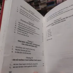 Sách: Cải cách Chính Phủ - Cơn lốc chính trị cuối TK XX - Tinh Tinh (A2) 587324