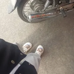 DÉP NỮ KÍN MŨI HỌA TIẾT GẤU - TRẮNG ĐEN 785201