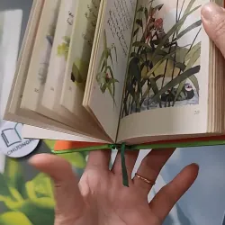 [MIỄN PHÍ BỌC SÁCH] Dế Mèn Phiêu Lưu Ký - Tô Hoài 990054