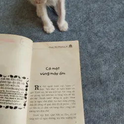 QUE KEM MẶC ÁO DÀI - ĐOÀN THỊ PHƯƠNG ÁI 567828