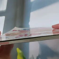 Gấu Bogie Học Từ - NXB Dân Trí - Đông A (Dan Tri - Dong A Publishing) 607708