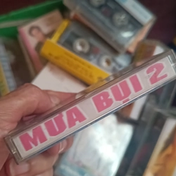 Băng Cassette Nhạc Mưa Bụi 2 503318