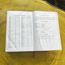 COMBO TỪ ĐIỂN ANH - VIỆT & TỪ ĐIỂN VIỆT - ANH - BÙI PHỤNG VÀ CỘNG SỰ 709309