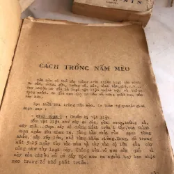 Phương pháp trồng nấm mèo  1004263