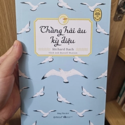 Chàng Hải Âu Kỳ Diệu