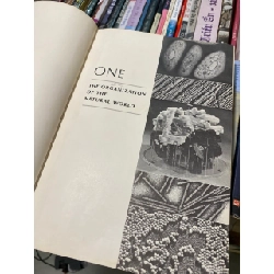 The Principles of General Biology, 2nd edition - Gardiner and Flemister 738480