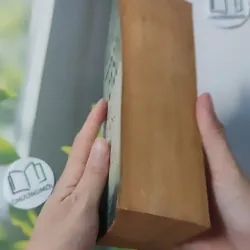 Balance of Power - Richard North Patterson 1027507