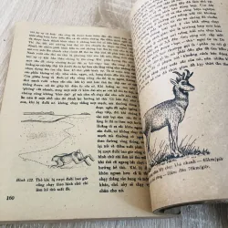 Đời sống các loài thú 1979 929091