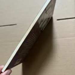 Hương cây Lưu Quang Vũ - Bếp lửa Bằng Việt 990275