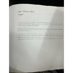 Dinh Quan lacquer paintings