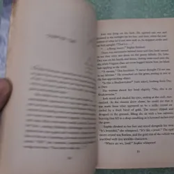 The enchantress 997430