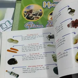 Combo Ẩm Thực: 35 Món Ăn Dành Cho Phụ Nữ, 29 Món Giảm Béo 727318