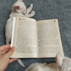 ĐÊM NGỌT - HỒ VIỆT KHUÊ 567796