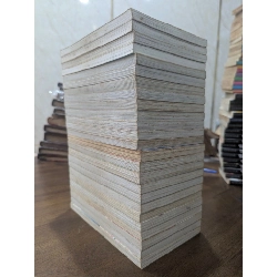 TRUYỆN TRANH Kaze Hikaru - Watanabe Taeko 139375