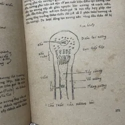 TRƯỜNG ĐẠI HỌC Y DƯỢC TP. HỘ CHÍ MNH - GIẢI PHẨU BỆNH HỌC - 500 trang  1007036
