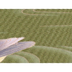 Áo kimono đơn - Hàng hiệu Authentic 883003