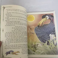 Đại Học chính Quy  994670