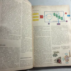 Từ điển bách khoa nhà Sinh học trẻ - ЭНЦИКЛОПЕДИЧЕСКИЙ СЛОВАРЬ Юного БИОЛОГА 800751