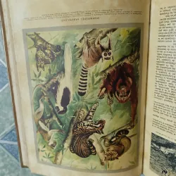 La vie des animaux - Larousse 590350