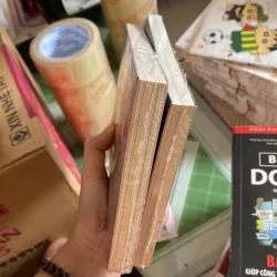 Biến mọi thứ thành tiền 2 tập  800937