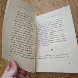 The Spiderwick Chronicles Diterlizzi & Black book 3
20k 673813