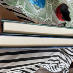 Thời niên thiếu Tống từ Bìa Cứng  567984