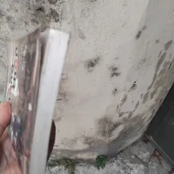 Những truyện nông thôn của nhà văn Nguyễn Huy Thiệp  1004705