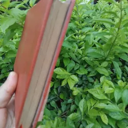 Các vĩ nhân tỉnh lẻ tập truyện của Dương Thu Hương 974254