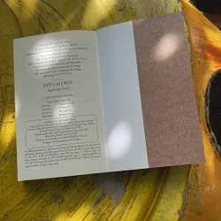 ĐỜI CALLBOY- (3)- NGUYỄN NGỌC THẠCH 706853