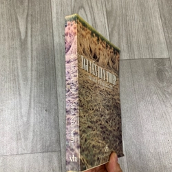 Mưa nhã nam - nguyễn huy thiệp. 1b4 518959