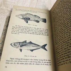 NGUỒN SINH VẬT BIỂN ĐÔNG 956906