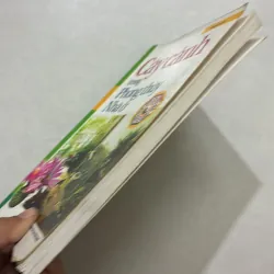 Cây cảnh trong phong thủy nhà ở 764640