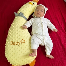 Gấu ôm cho Bé 446665