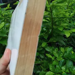 Văn hóa nghệ thuật Nam Bộ  995544