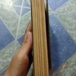 Nguyễn Trãi đánh giặc cứu nước - Nguyễn Lương Bích 1032744