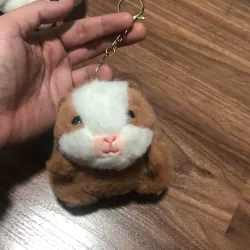 Mèo Sushi, tặng móc khoá Capybara 778852